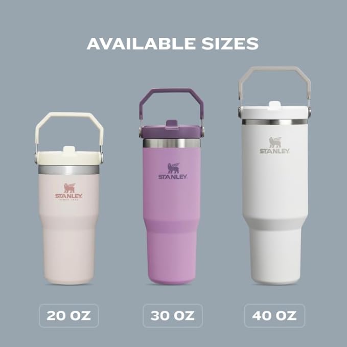 Stanley IceFlow Flip Straw Tumbler with Handle 20 oz | Twist On Lid and Flip Up Straw | Leak Resistant Water Bottle | Insulated Stainless Steel |BPA-Free | Citron