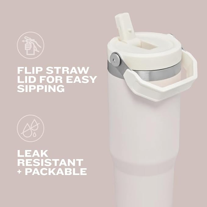 Stanley IceFlow Flip Straw Tumbler with Handle 20 oz | Twist On Lid and Flip Up Straw | Leak Resistant Water Bottle | Insulated Stainless Steel |BPA-Free | Lilac