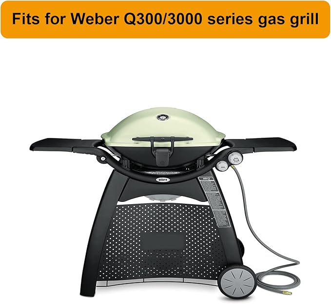 7646 Cooking Grid Grates for Weber Q300 Q320 Q3000 Q3200 Gas Grills, 586002, 57060001, 404341,BBQ Accessories for Weber Baby Q, Matte Cast Iron,2 Pack
