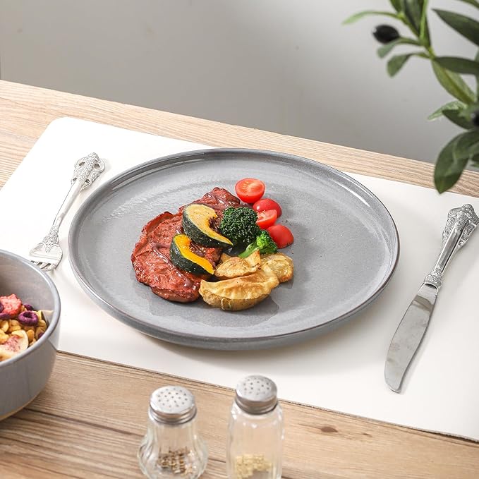 Ceramic Dinner Plates Set of 4,Stoneware 10 Inch,Microwave,Dishwasher and Oven Safe,Porcelain Dessert Plates for Pasta,Salad and Steak,Dishes Set for Kitchen,Scratch Resistant,Gray