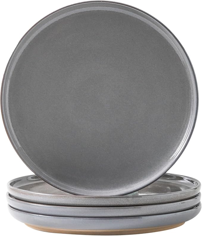 Ceramic Dinner Plates Set of 4,Stoneware 10 Inch,Microwave,Dishwasher and Oven Safe,Porcelain Dessert Plates for Pasta,Salad and Steak,Dishes Set for Kitchen,Scratch Resistant,Gray